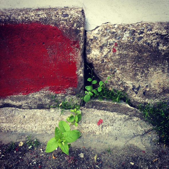 A Wall #189, 201206, Suwon A Wall #189, 201206, Suwon