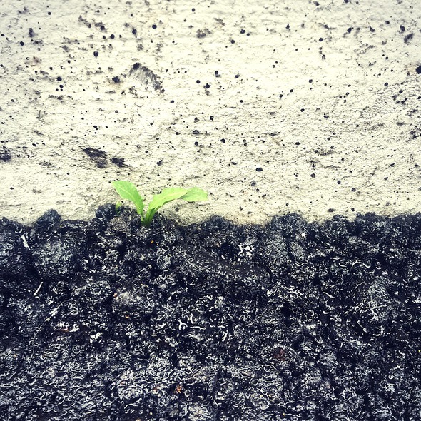 A Crack #507, 201508, Suwon A Crack #507, 201508, Suwon