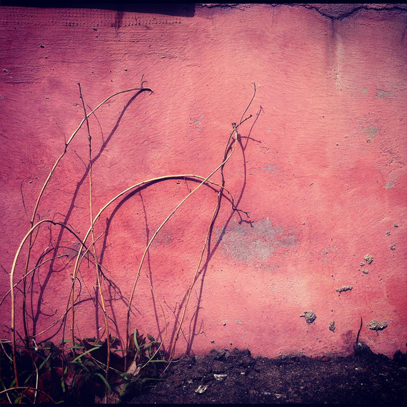 A Wall #017, 201204, Pyeongtaek A Wall #017, 201204, Pyeongtaek
