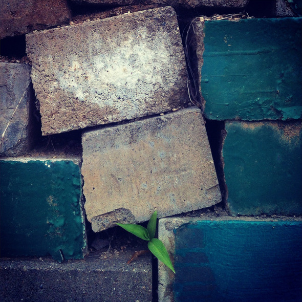 A Wall #075, 201205, Yongin A Wall #075, 201205, Yongin