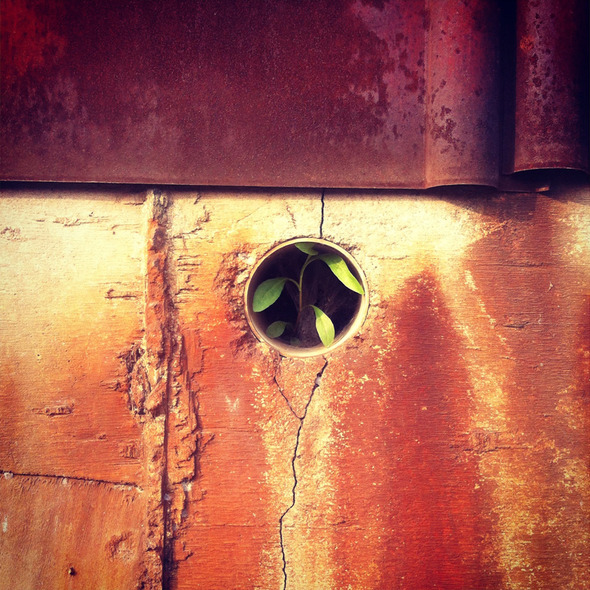 A Wall #160, 201206, Pyeongtaek A Wall #160, 201206, Pyeongtaek