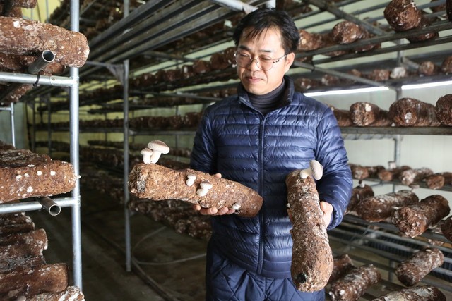 표고버섯 ‘배지 재배’와 가공품 생산으로 안정된 수입을 올리고 있는 귀농 3년째의 박석우(51·영월)씨.