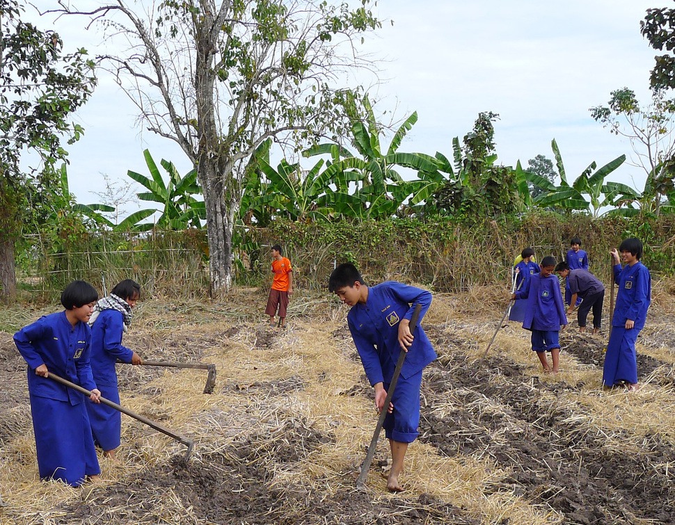 시사아속 안 농장에서 일하는 아이들.