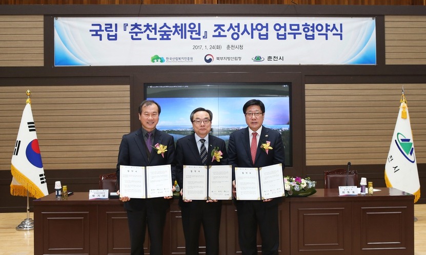 춘천에 여의도공원 14배 넘는 숲 체험장 생긴다