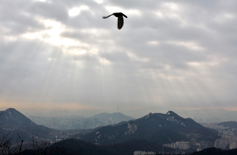 2015년 1월 20일치 이완하님 작품입니다. ‘평화의 상징, 북악 하늘에서 어제는 모처럼 구기터널 방향에서 산행을 시작하여 북한산 자락 쪽두리봉을 12시께 올랐다. 사람들을 쫓아 산정상까지 비둘기가 날아와 건네는 먹이를 먹고 사람들 주변을 맴돈다. 북악, 인왕,남산, 관악, 안산에 둘러싸인 서울 상공 위로 비둘기 한 마리가 날아오른다. 평화! 사랑! 이 조국의 통일! 그 감격의 날, 서울광장에 흰 비둘기 날아오르는 꿈을 꾸어본다.’