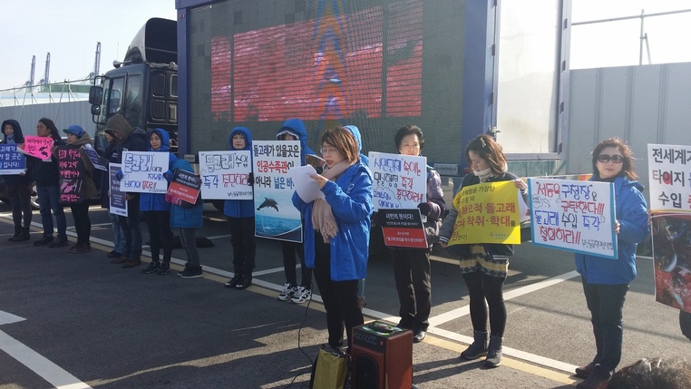 9일 부산 동구 부산항 국제여객터미널 야외주차장에서 ‘울산 남구청 돌고래 수입반대 공동행동'이 일본에서 큰돌고래를 수입한 울산 남구와 이를 허가한 해양수산부, 환경부 등에 대한 규탄 기자회견을 열었다. 부산/김영동 기자