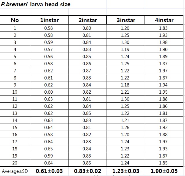 붉은점모시나비 애벌레의 1령부터 4령까지 머리 크기 변화.