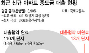 신규 분양 아파트 10분의 1, 중도금 대출 못구해 발동동 