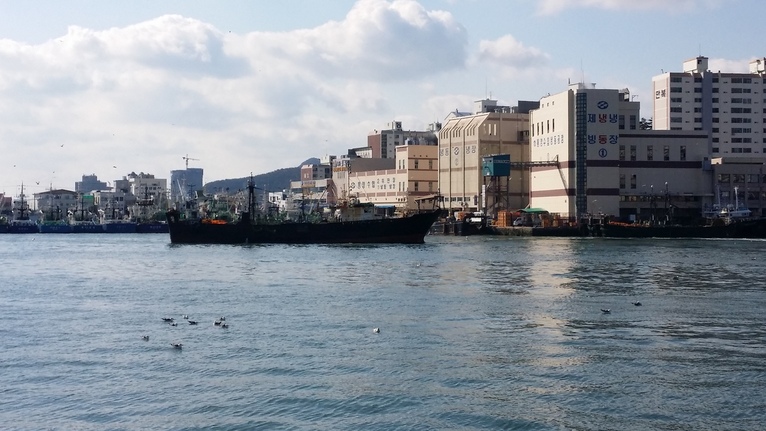 지난 8일 경남 통영시 정량동의 동호항에 한 어선이 입항하고 있다. 김영동 기자