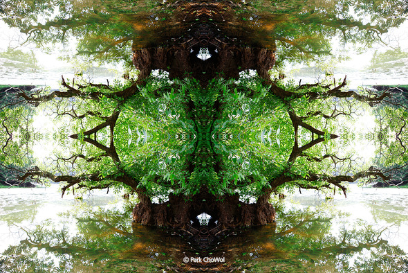 순수의 원형_Archetype of Purity_작품번호37. 순수의 원형_Archetype of Purity_작품번호37.
