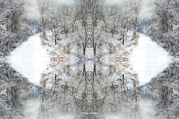 순수의 원형_Archetype of Purity_작품번호46. 순수의 원형_Archetype of Purity_작품번호46.