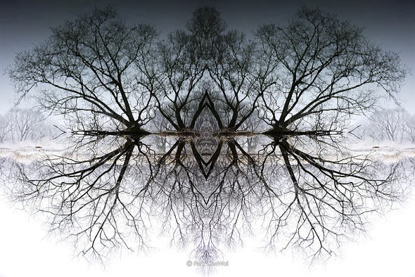 순수의 원형_Archetype of Purity_작품번호01. 순수의 원형_Archetype of Purity_작품번호01.