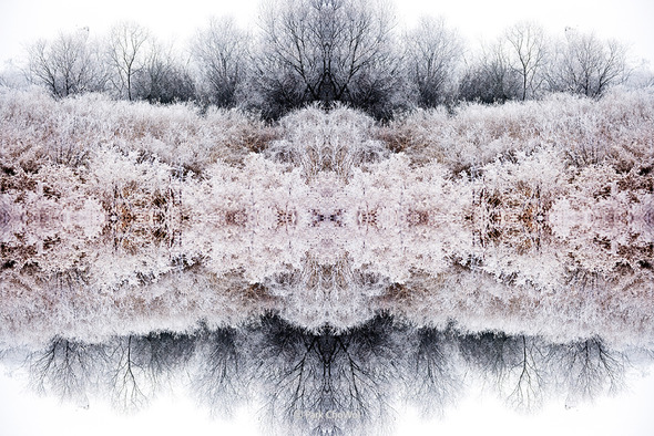 순수의 원형_Archetype of Purity_작품번호02. 순수의 원형_Archetype of Purity_작품번호02.