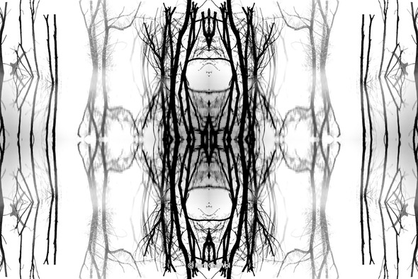 순수의 원형_Archetype of Purity_작품번호11. 순수의 원형_Archetype of Purity_작품번호11.