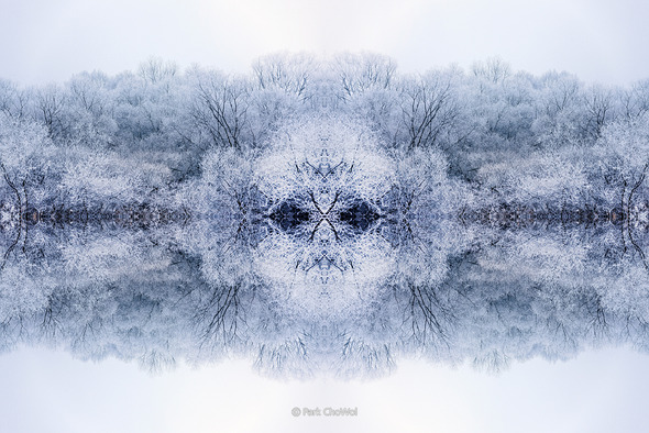 순수의 원형_Archetype of Purity_작품번호24. 순수의 원형_Archetype of Purity_작품번호24.