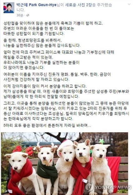 박근혜 전 대통령의 2015년 12월 페이스북 게시물. 당시엔 진돗개 새끼들을 시민들에게 공개적으로 분양했다. 현재 계정은 삭제된 상태다. 연합뉴스