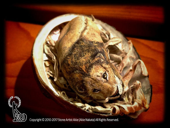 lion_on_shell. lion_on_shell.