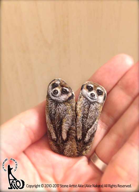 meerkat. meerkat.