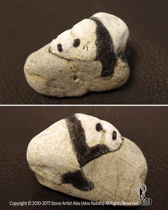 playful_giantpanda. playful_giantpanda.