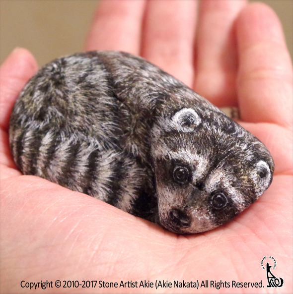 raccoon. raccoon.