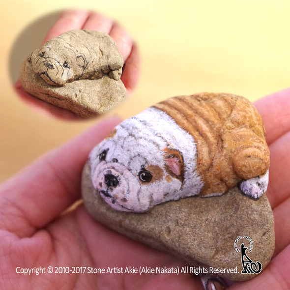 english_bulldogpuppy. english_bulldogpuppy.