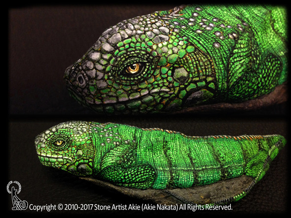 green_iguana. green_iguana.