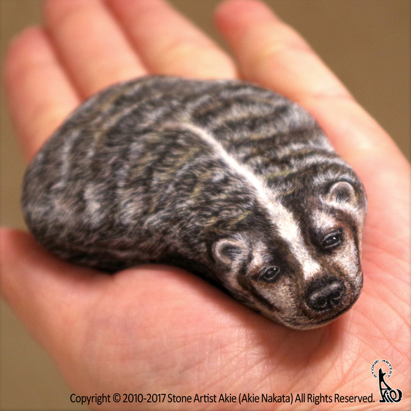 americanbadger. americanbadger.