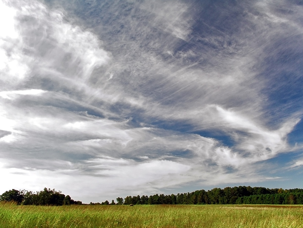 최초의 구름도감에 등재된 권운(Cirrus clouds). 가을 하늘에 자주 나타나는 상층운이다. 새털구름이라고 부른다.위키미디어 코먼스