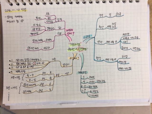 이소정양은 독서활동이나 평소 생활하면서 학습계획이나 해야 할 일 등을 마인드맵으로 작성했다. 이소정양 제공