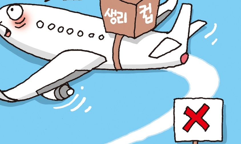 공동구매 ‘프랑스산 생리컵’ 500개 한국땅 못 밟고 반송된 까닭은…