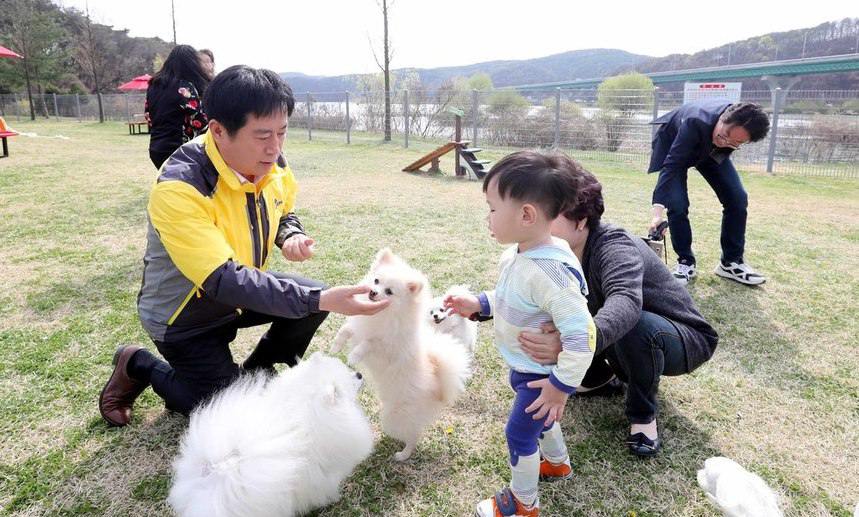 멍멍아 놀러가자…국내 최대 반려견 놀이터