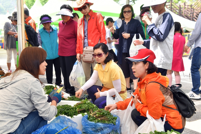 정선 곤드레산나물축제가 4일부터 7일까지 정선공설운동장에서 열린다. 관광객들이 축제장에서 산나물을 구입하고 있다. 정선군청 제공