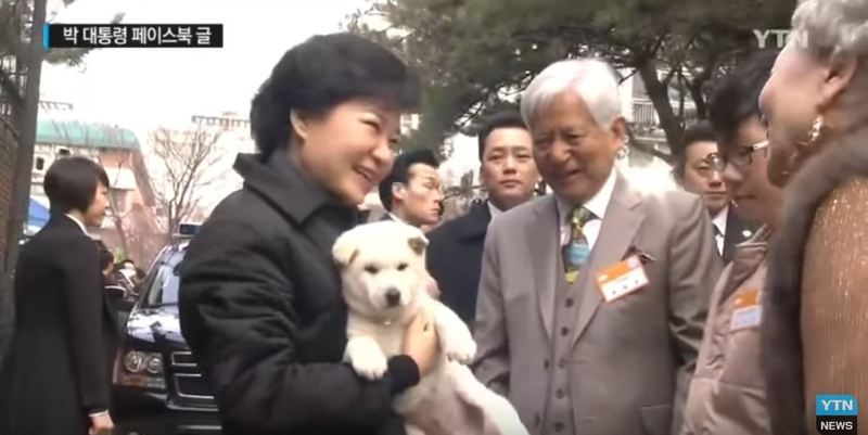 2013년 2월 청와대에 입성하는 박근혜 대통령이 동네 주민으로부터 진돗개 선물을 받고 좋아하고 있다.  <와이티엔> 갈무리