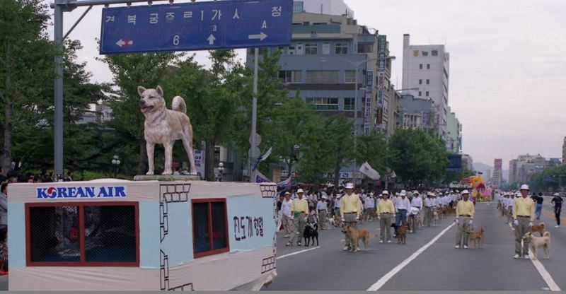 1988년 서울올림픽 문화예술축전 때 서울 광화문에서 진돗개 퍼레이드 행사가 열렸다.  국가기록원 제공