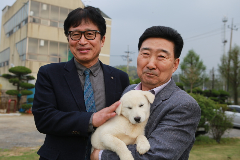 박근혜 대통령이 청와대에 두고 간 진돗개 일부는 일반에 분양됐다. 지난 4월 청와대에서 데려온 진돗개 ‘해피’를 이재일 전남대 수의대 교수(왼쪽)와 박이복(62)씨가 안고 있다.  광주/남종영 기자