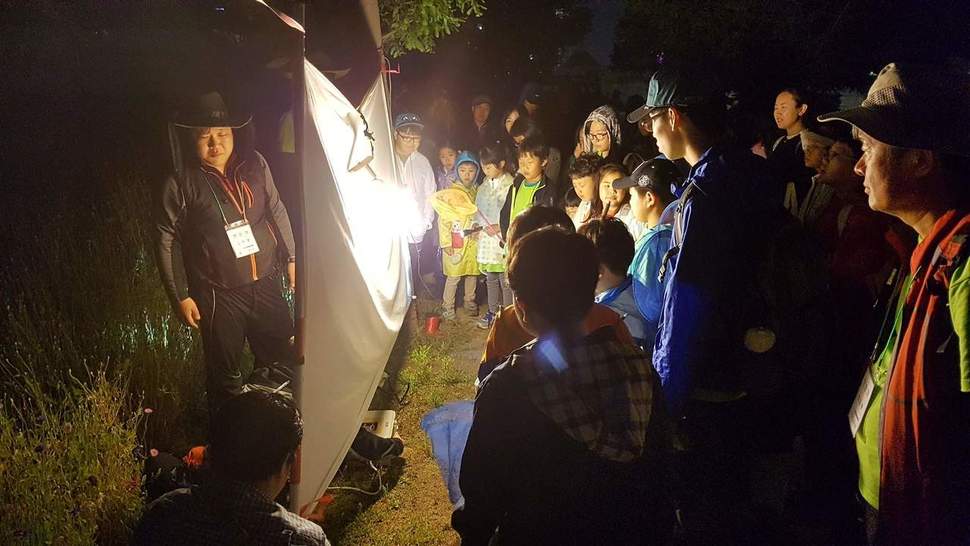 지난해 6월 태화강대공원 일대에서 열린 ‘2016 울산 바이오블리츠’ 야간 곤충탐사활동 모습.
