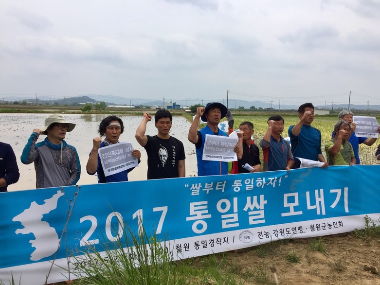 전농 강원도연맹 소속 농민들이 23일 오전 철원읍 한 들녘에서 통일쌀 모내기 행사를 열고 있다. 전농 강원도연맹 제공
