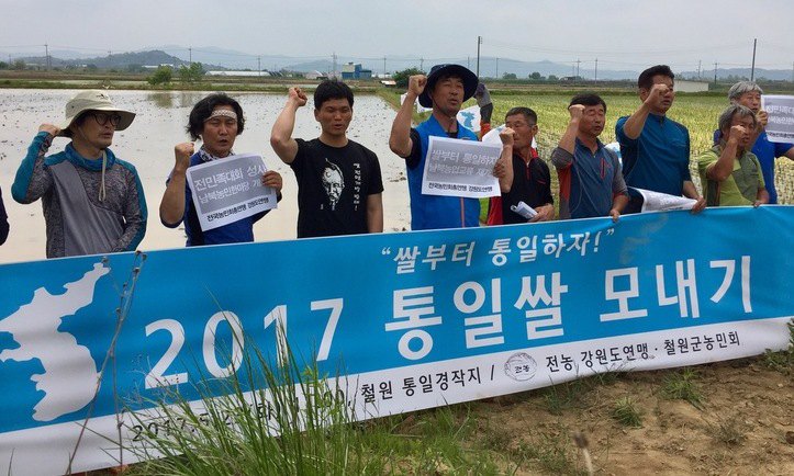 ‘쌀부터 통일하자!’ 철원서 통일쌀 모내기
