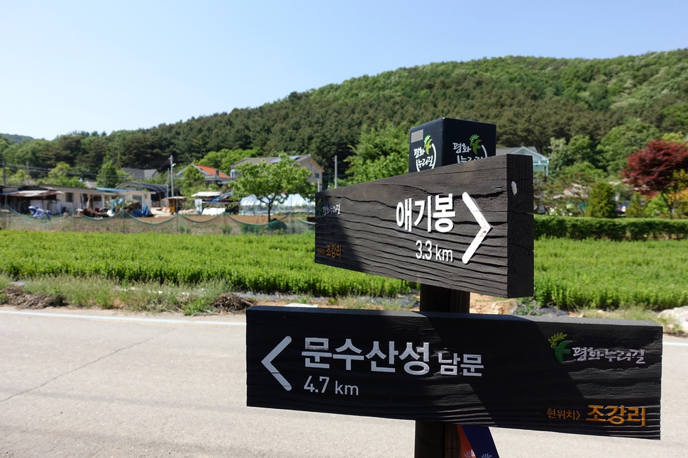 평화누리길 게스트 하우스 1호점이 들어선 조강리 마을 전경.