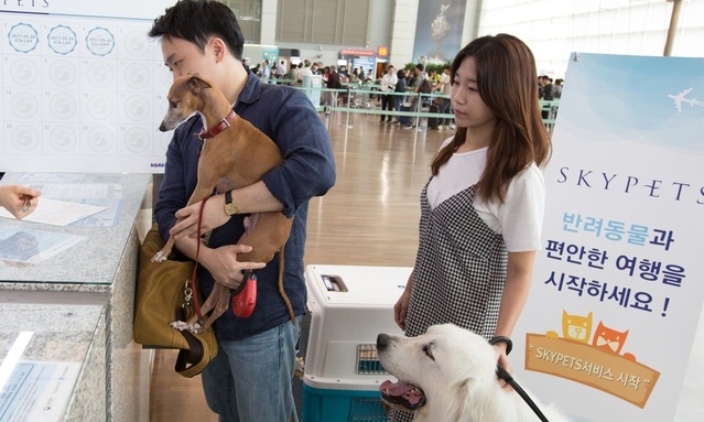 작년 대한항공 승객 2만5천명 반려동물과 함께 여행