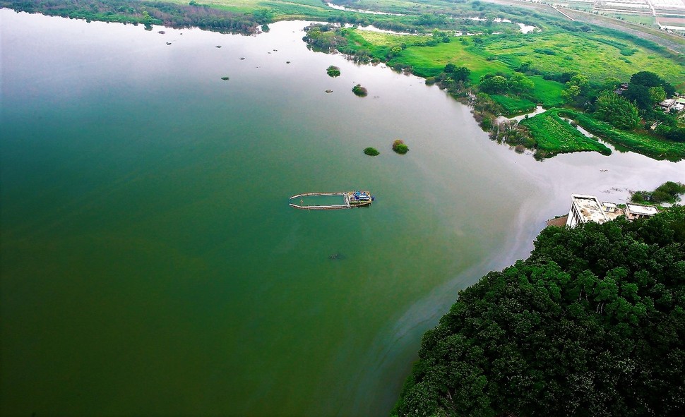 2013년 여름 낙동강 창녕함안보 상류에서 녹조제거선이 녹조를 흩뜨리기 위해 초록색으로 물든 강물을 휘저으며 다니고 있다. 생명그물 제공
