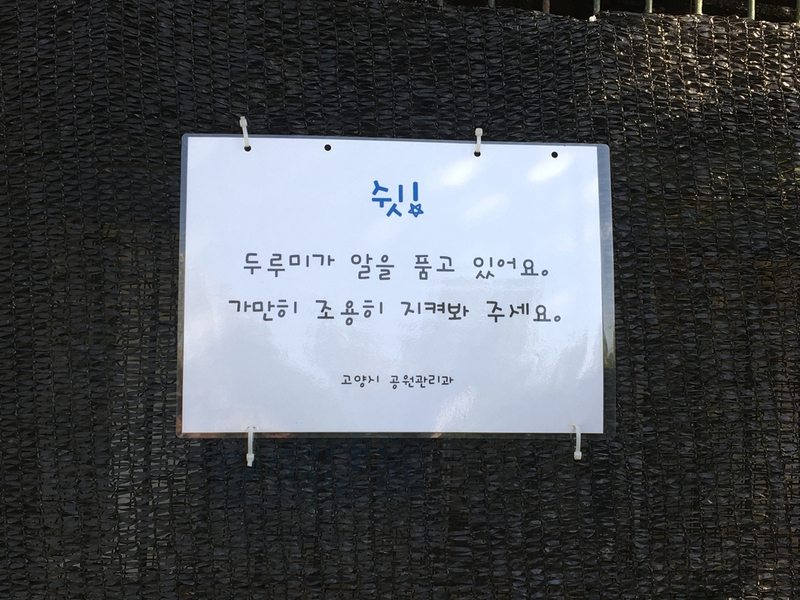 산란 이후 예민해진 두루미들의 안정을 위해 일산호수공원 두루미 사육장에 설치된 가림막과 표지판.