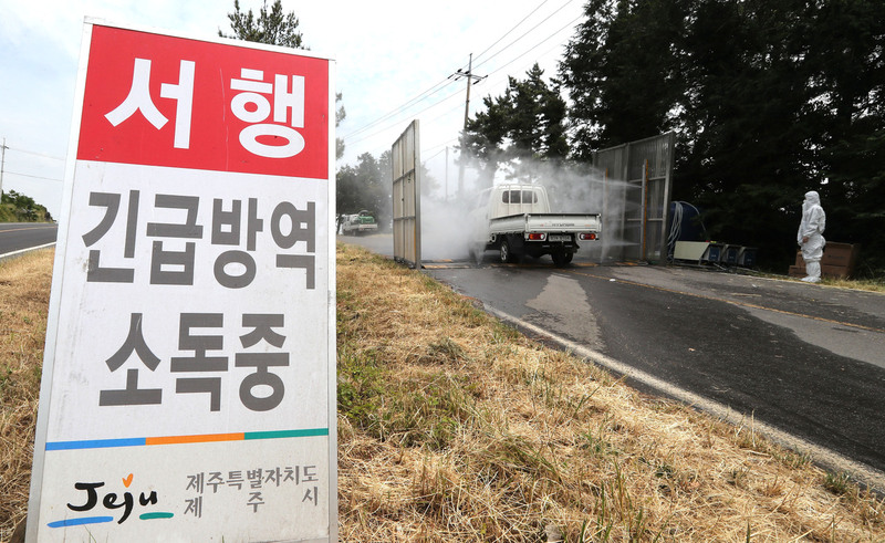 지난 5일 제주시 금악리 한 도로에 마련된 거점소독시설에서 방역관계자가 AI 바이러스 차단을 위해 차량 소독을 하고 있다. 연합뉴스