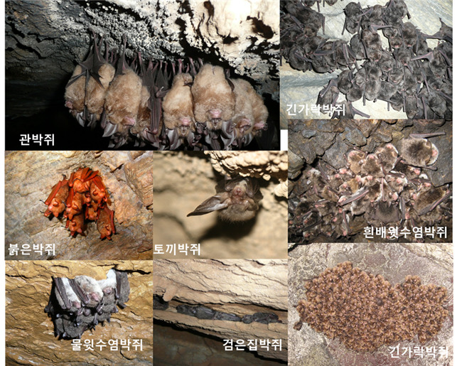 국립생태원 제공