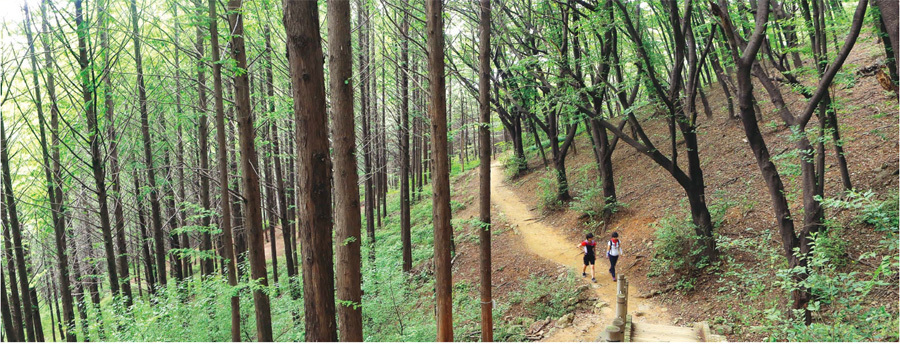 서울에서 산책하기 좋은 곳으로 소문이 난 `서대문구 `안산 자락길&#39;도 도시계획시설로 묶여있지만 2020년 6월30일 해제된다. 이병학 기자