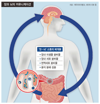 * 이미지를 누르면 크게 볼 수 있습니다. 