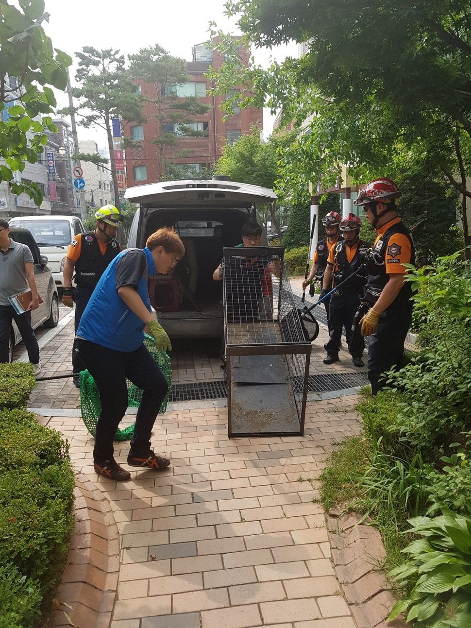 지난달 29일 오후 3시30분께 서울 강동구 천호동의 한 아파트 단지에서 강동구청 직원 2명, 소방대원 5명, 한국동물구조관리협회(동물구조협회) 직원 1명 등 8명이 1년째 이 아파트 주변을 떠돈다는 진돗개 ‘백구’를 잡으려고 모였다. 아파트 단지 구석 잔디밭에 가로 160㎝, 세로 55㎝, 높이 85㎝ 크기의 철제 포획틀을 설치했지만 ‘백구’ 포획에 실패했다. 김진완 교육연수생
