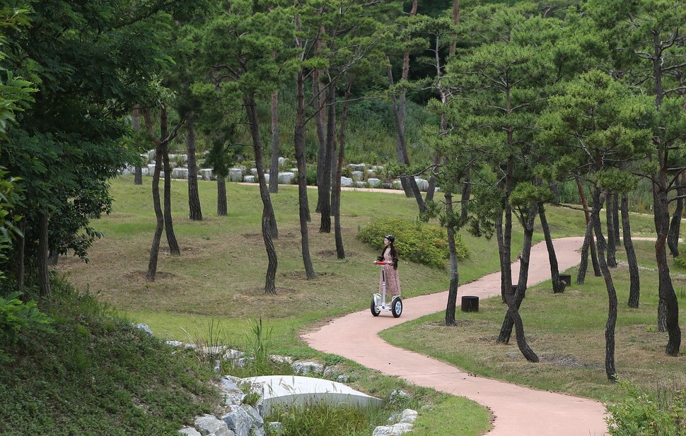 지난 6월24일 경북 영덕 창포리 산림생태문화공원 탐방로에서 한 여성이 전동휠(일명 왕발통)을 즐기고 있다.