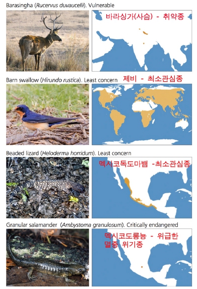 개체수가 감소하는 대표적 4종류의 동물들. 개체수가 감소하는 동물들이 국제자연보전연맹(IUCN)의 분류상 멸종위기종이거나 서식 면적이 제한적이거나 희귀종만이 아님을 보여주고 있다.