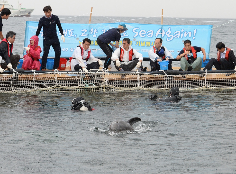 [오늘의 사진] 고향 바다로 돌아가는 금등과 대포 : 사회일반 : 사회 : 뉴스 : 한겨레 [오늘의 사진] 고향 바다로 돌아가는 금등과 대포